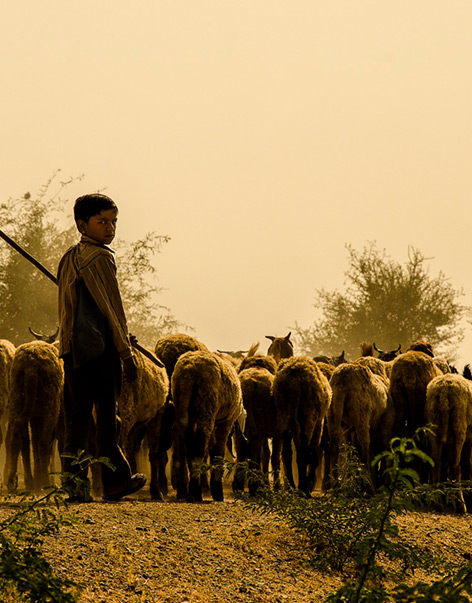 “Nature, Power and Food Systems”: A Stakeholder Workshop