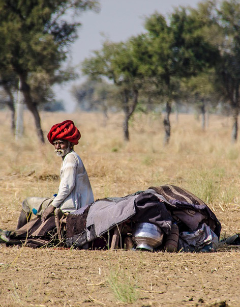 International Conference on Globalization and Future of Rural-Agrarian in 21st Century India: Challenges, Lessons and Opportunities