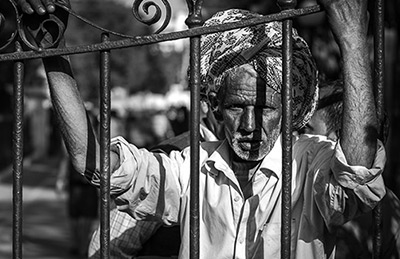 “UN Food Systems Summit Independent Dialogues” Grassroots Perspective, India