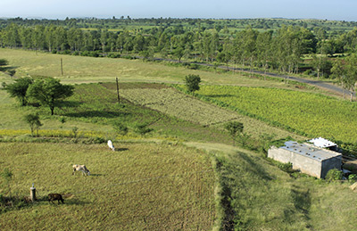 Seminar on ”Emerging Challenges of Indian Agriculture with reference to Institutional Credit and Farm Distress”
